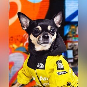 Hypebeast Pupreme dog jacket small yellow